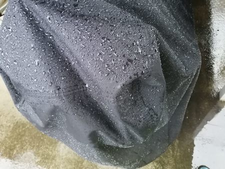 IMG_20210313_071121.jpg